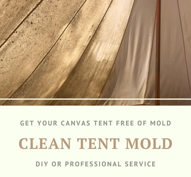 clean + mold + canvas + tent