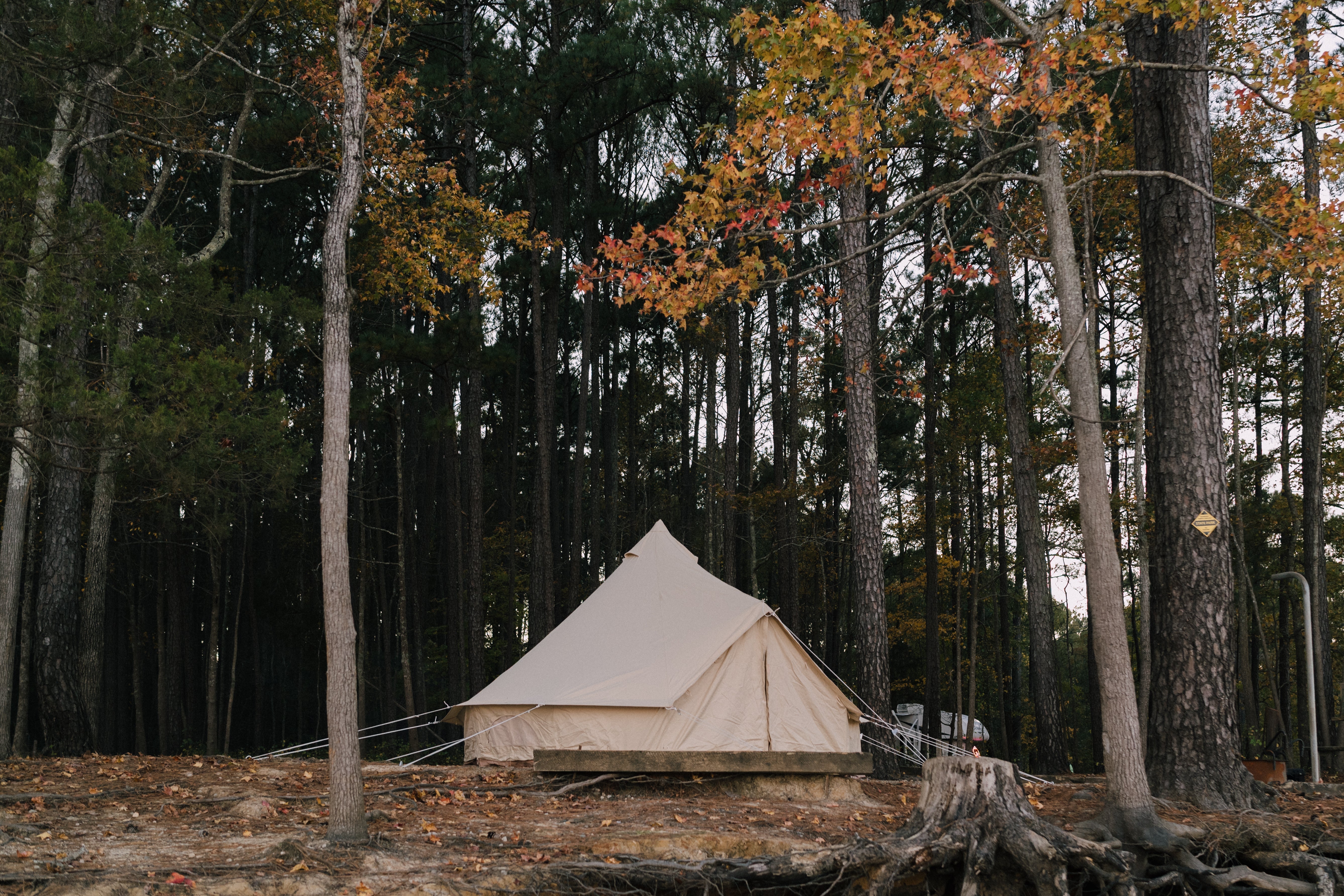 How to Properly Take Down & Pack a Canvas Bell Tent (Step-by-Step Guide)
