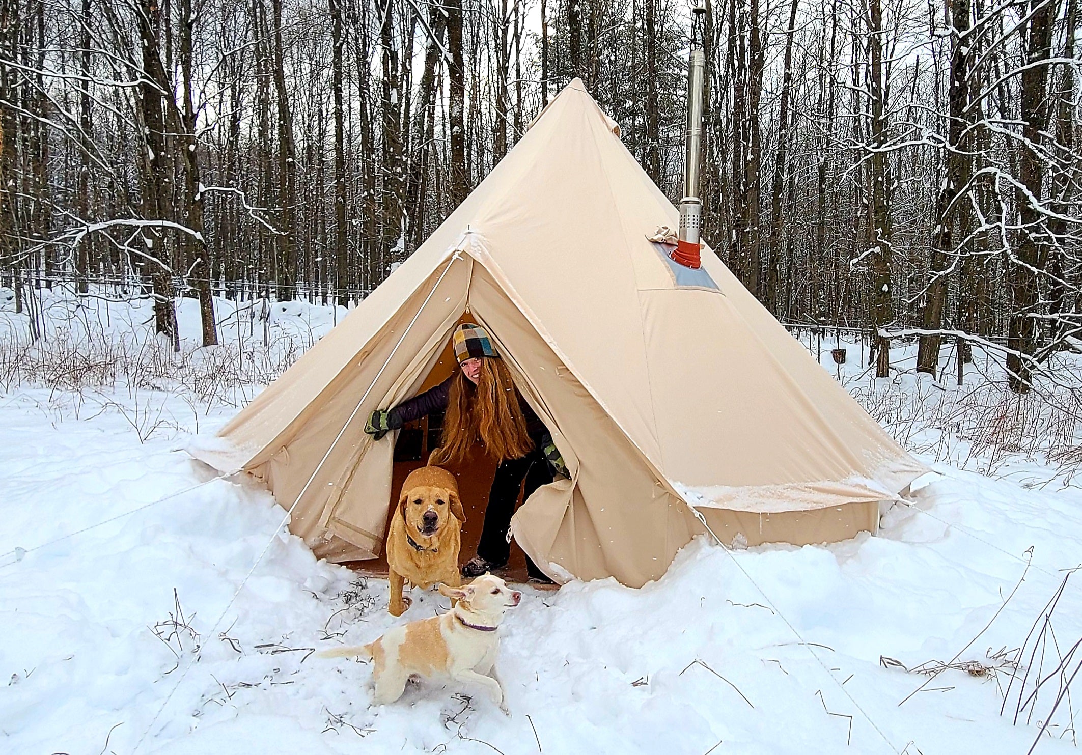 Our New Home in the Woods