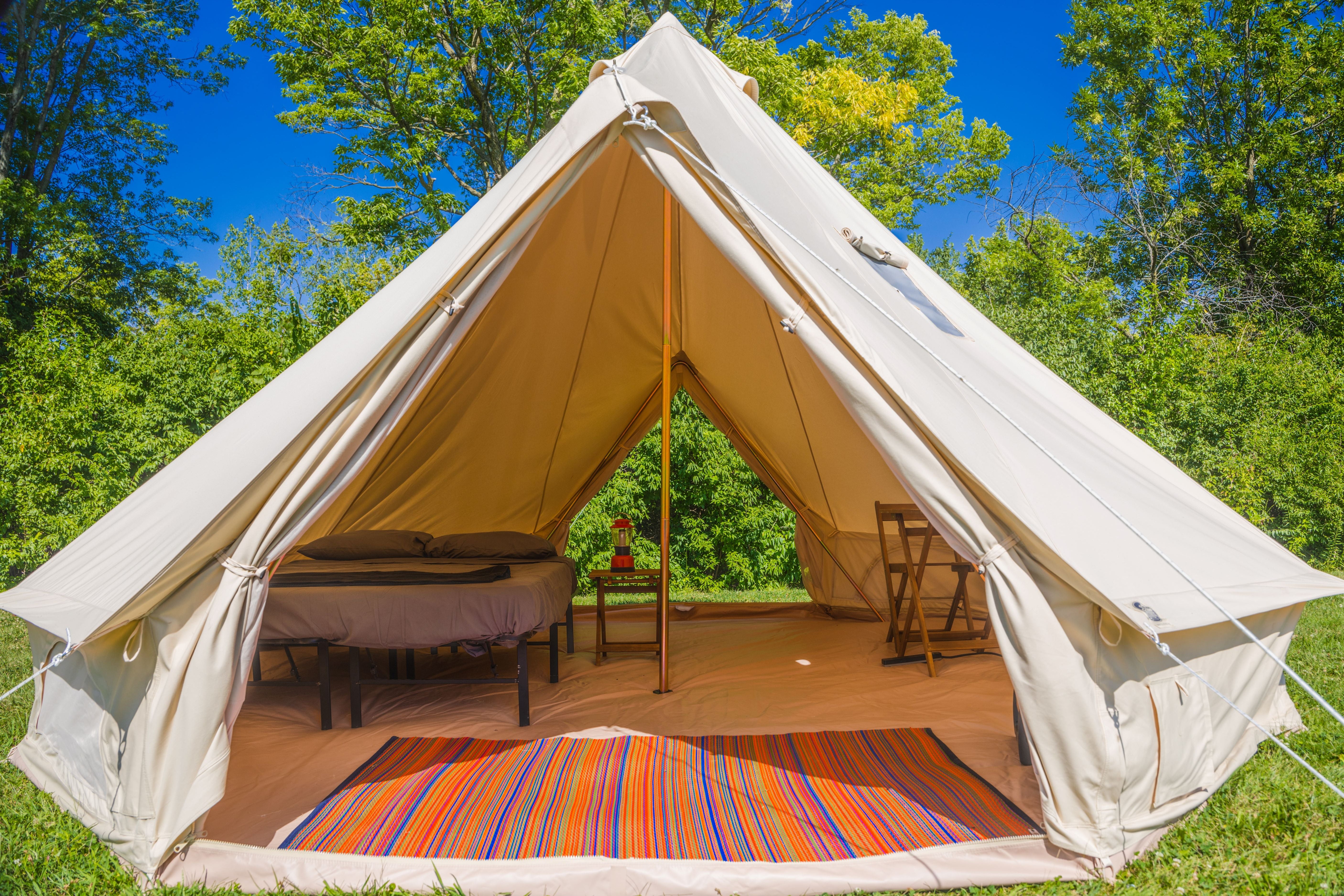 Large beige tent with interior furniture and a colorful rug in a forest setting