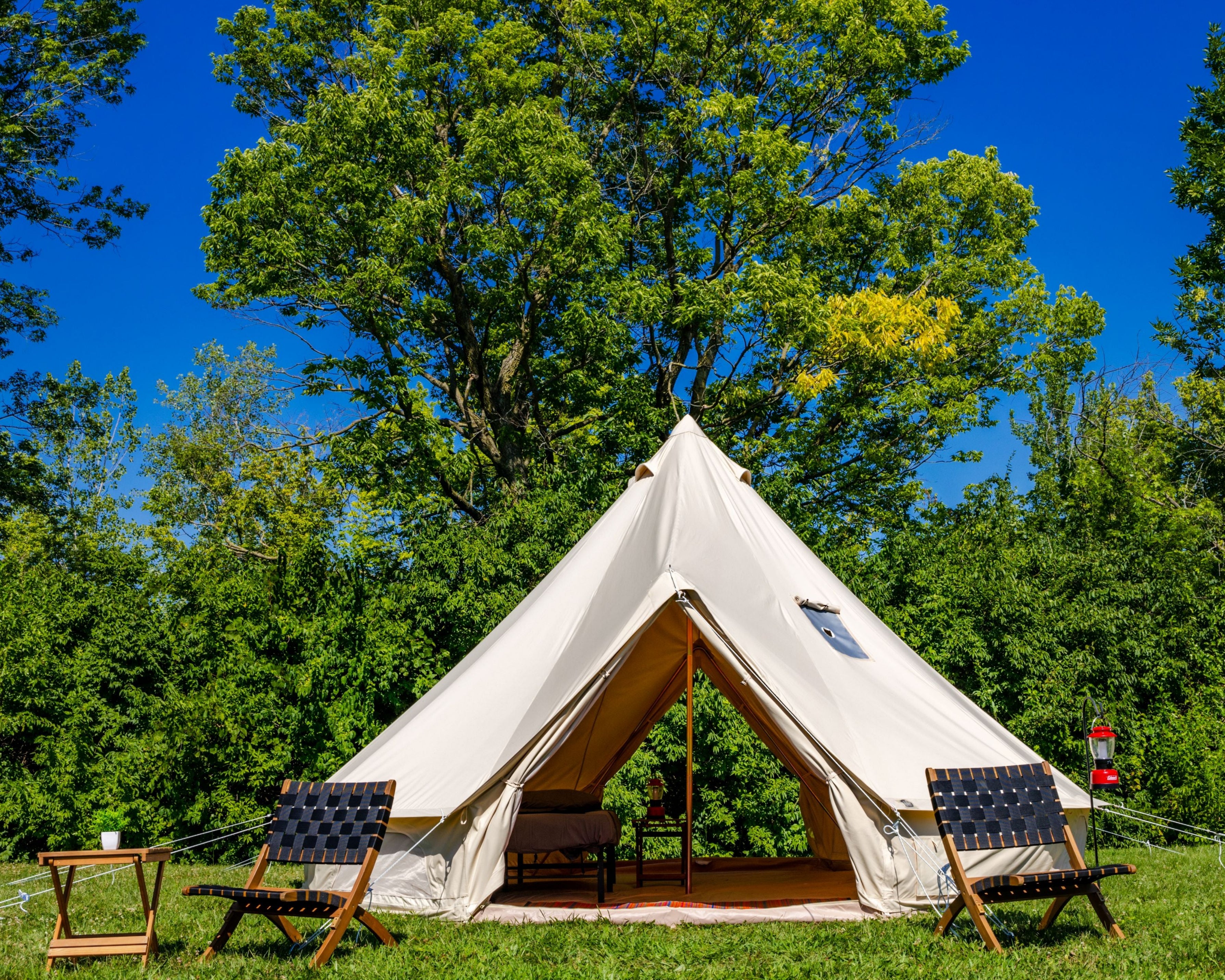 White tent with chairs in a grassy area with trees