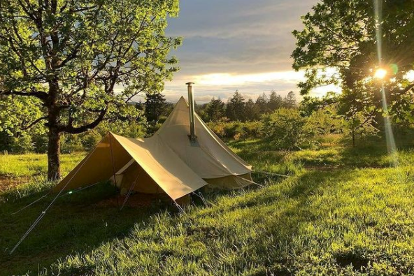 Beige tent with awning set up in a grassy field with trees and a sunset in the background.