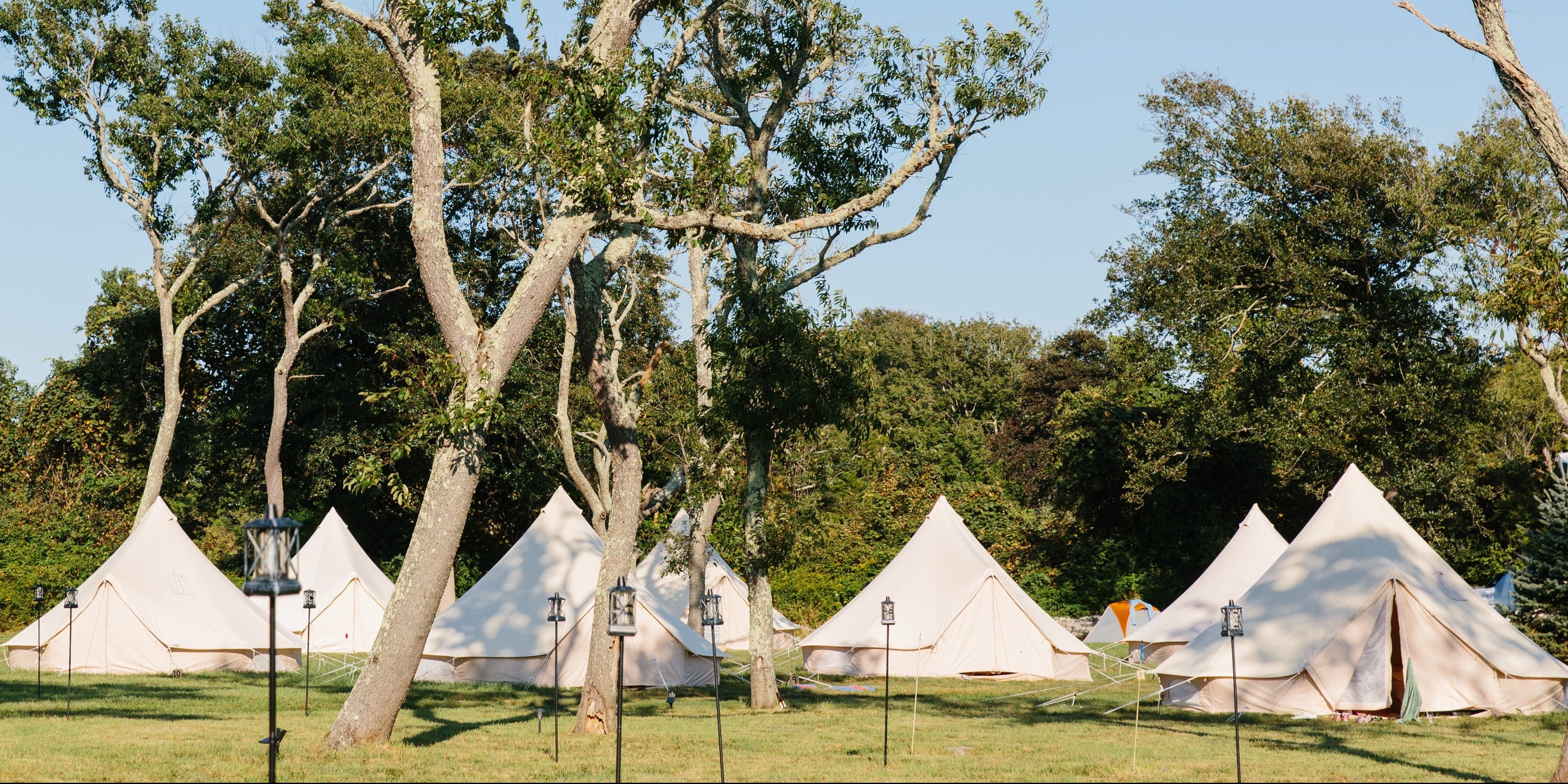 Group of bell tents in a forest clearing with trees and clear sky.
