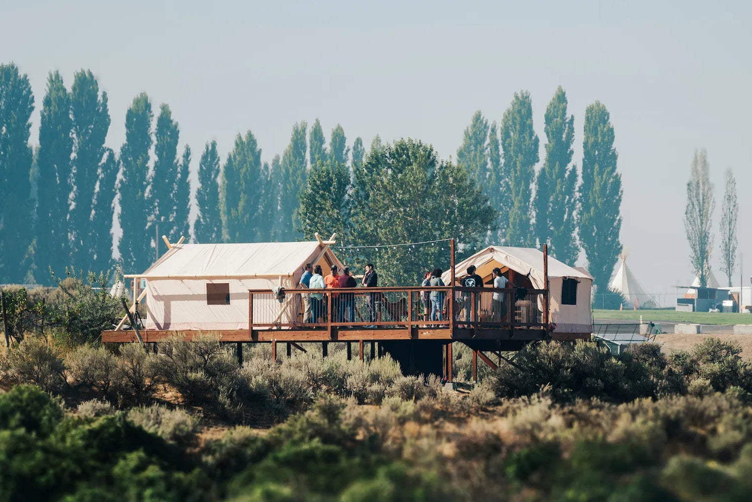 Wooden cabins on stilts in a field with trees in the background