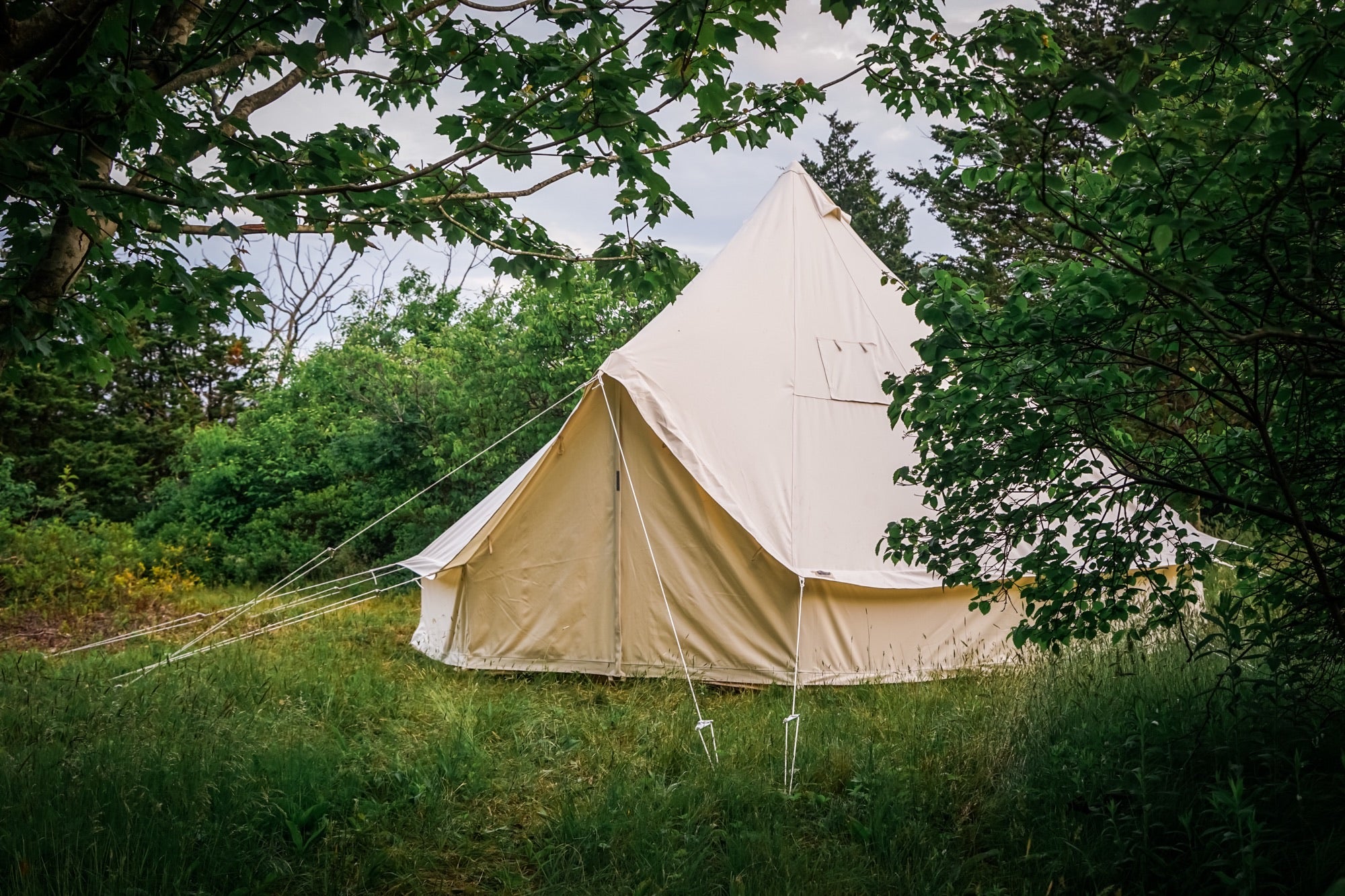 Beige bell tent in a forest setting