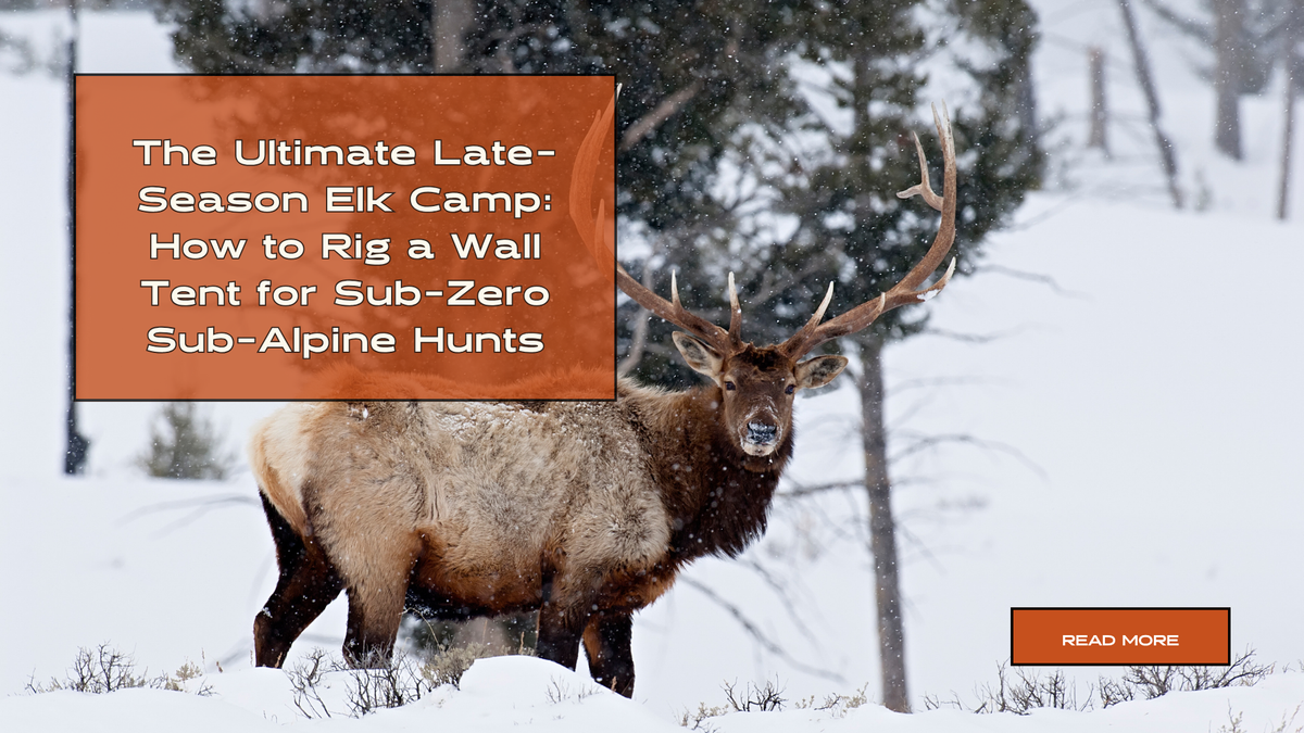 A bull elk standing in a snowy backcountry landscape with evergreen trees.