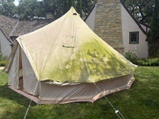 How to Clean Mold From A Canvas Tent