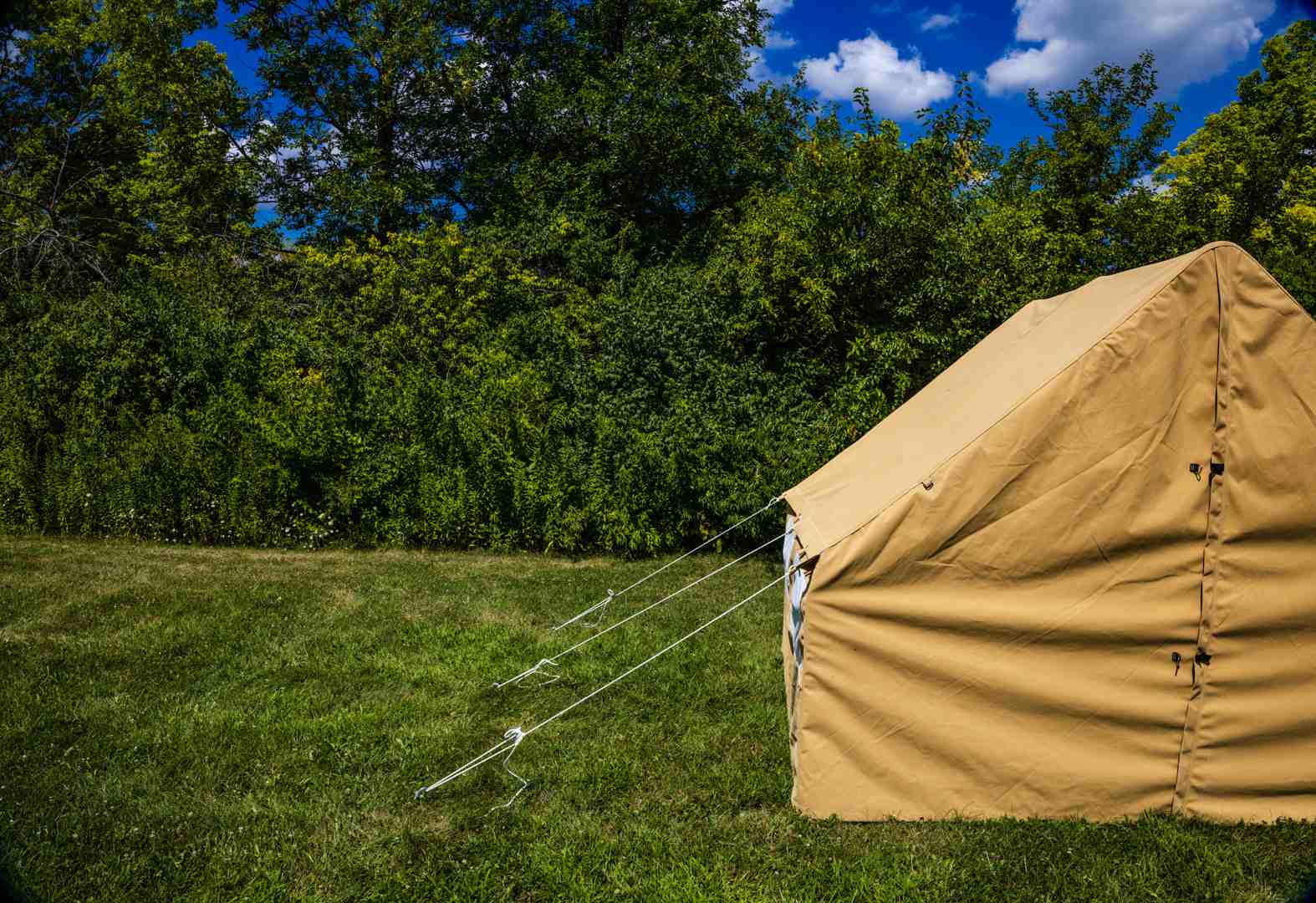 Small Wall Tent