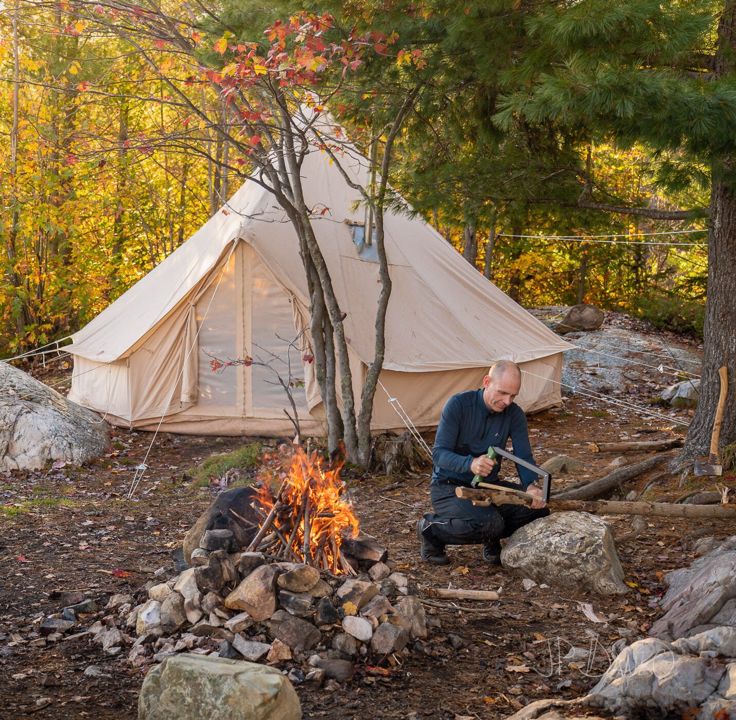 Sawing Wood for Campfire