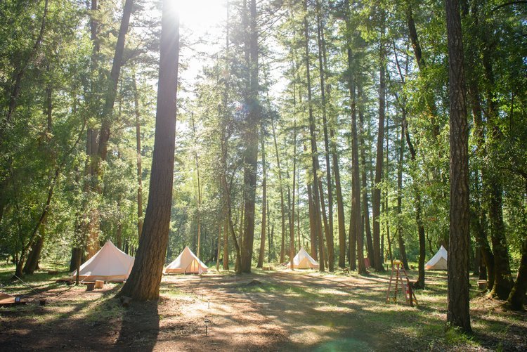 Stout Tent Stories featuring The Land in California