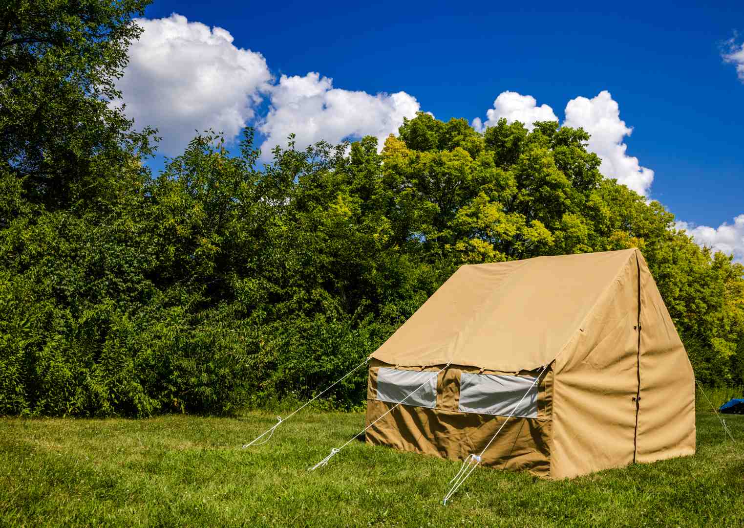 tents and canvas
