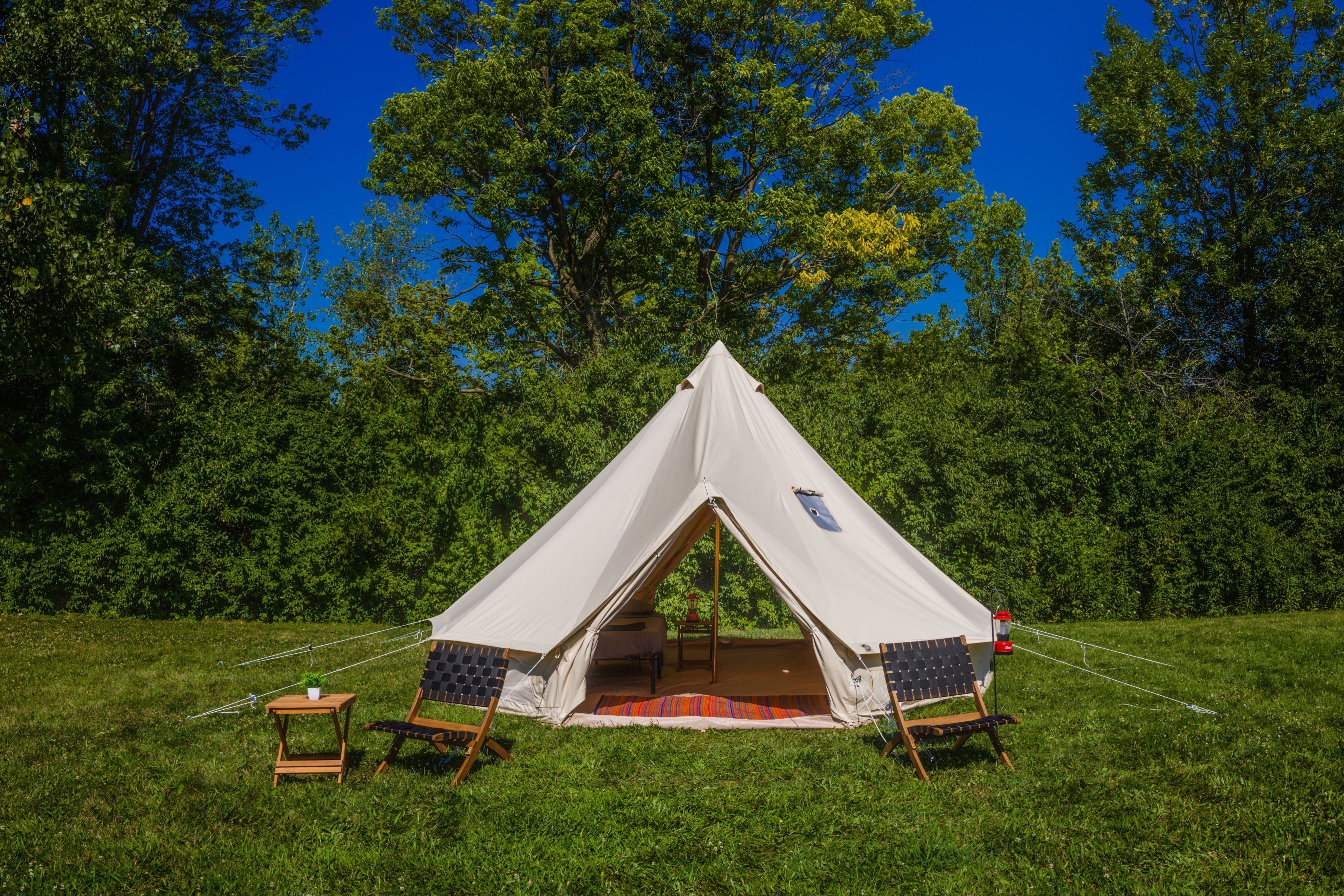 White bell tent in a grassy area with trees and clear blue sky