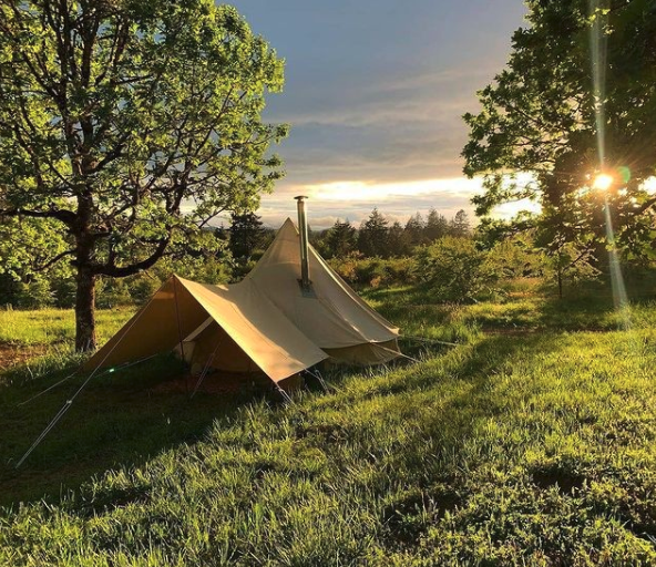Beige tent with awning set up in a grassy field with trees and a sunset in the background.