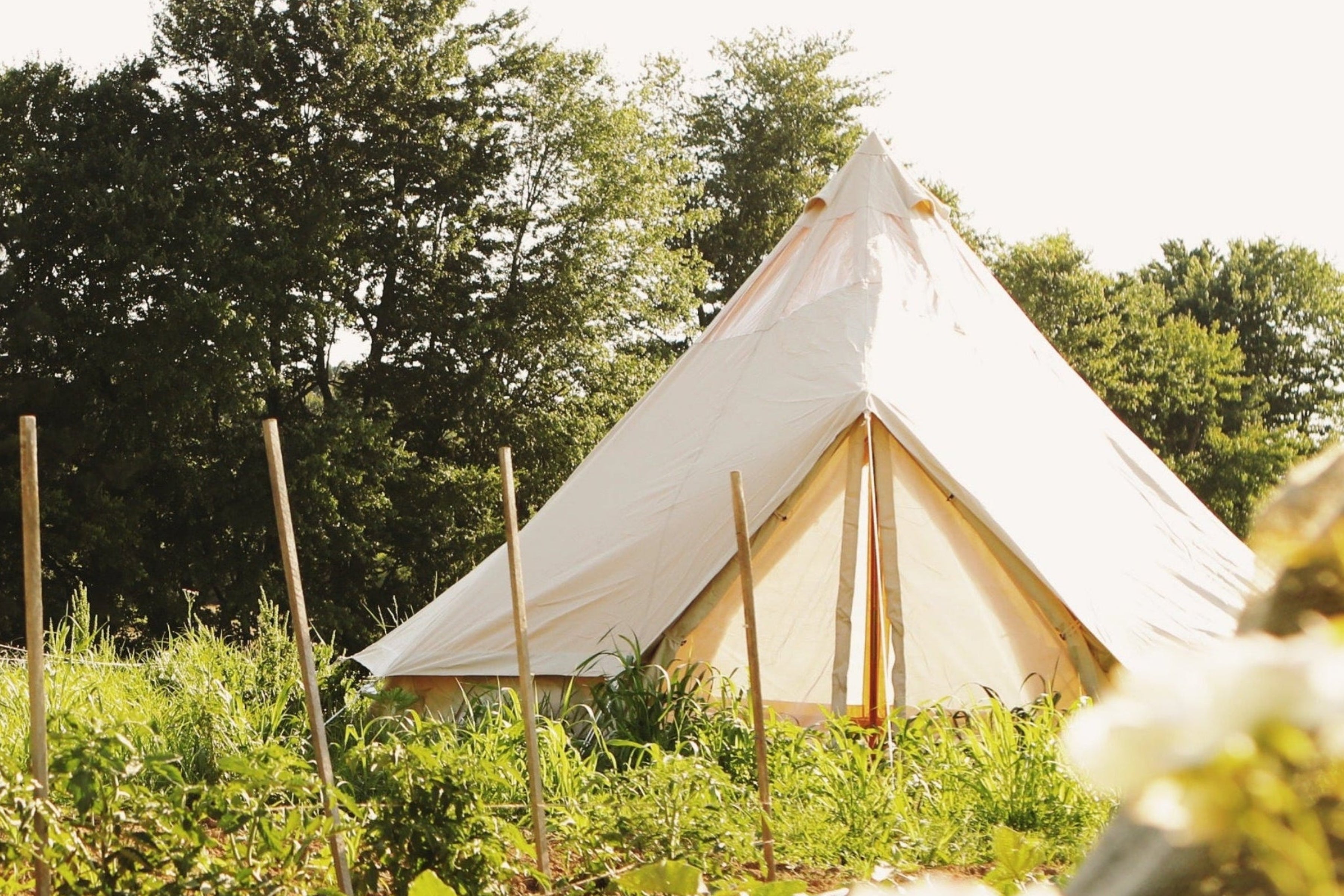 Bell tent in a garden with trees in the background