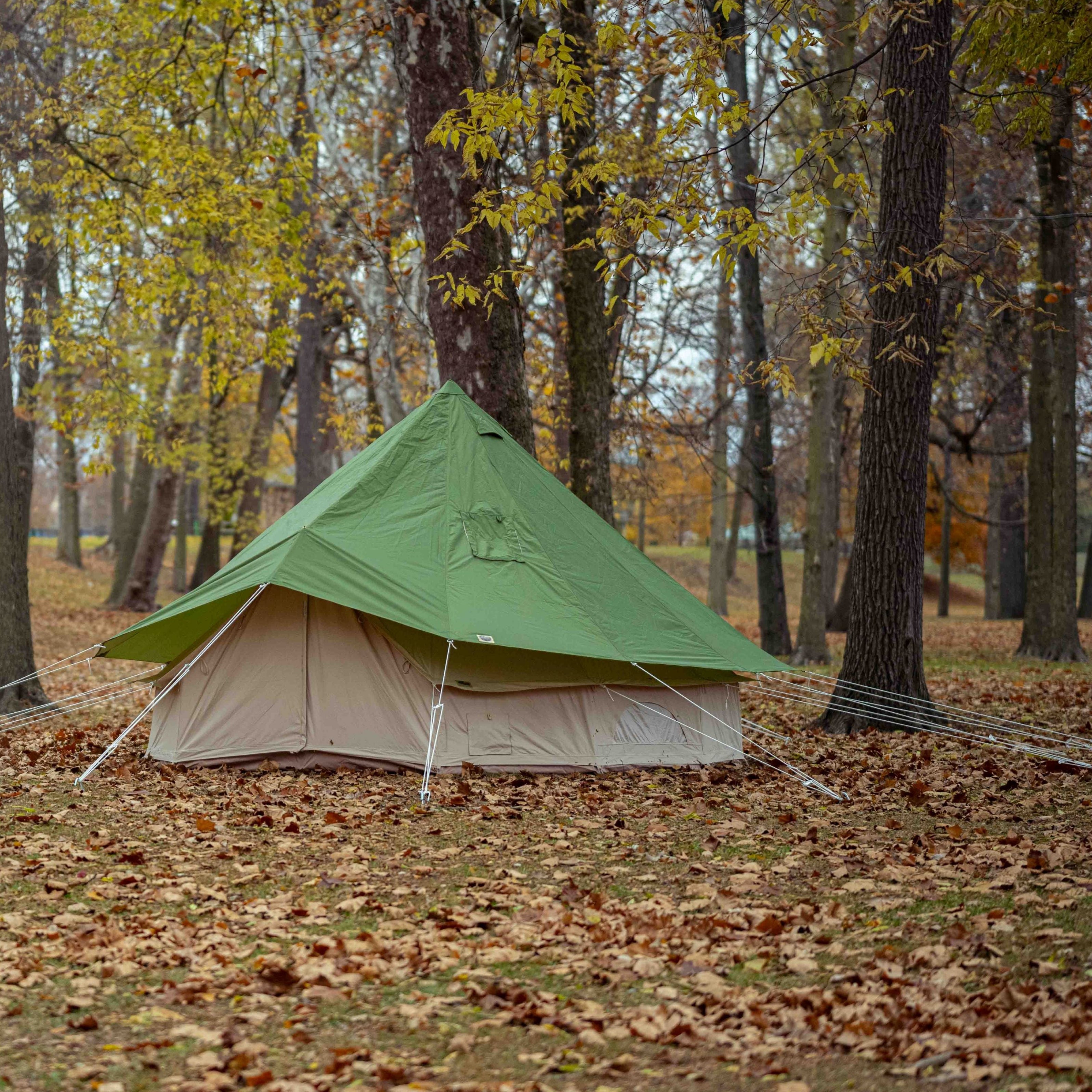 Green tent in a forest with fallen leaves on the ground