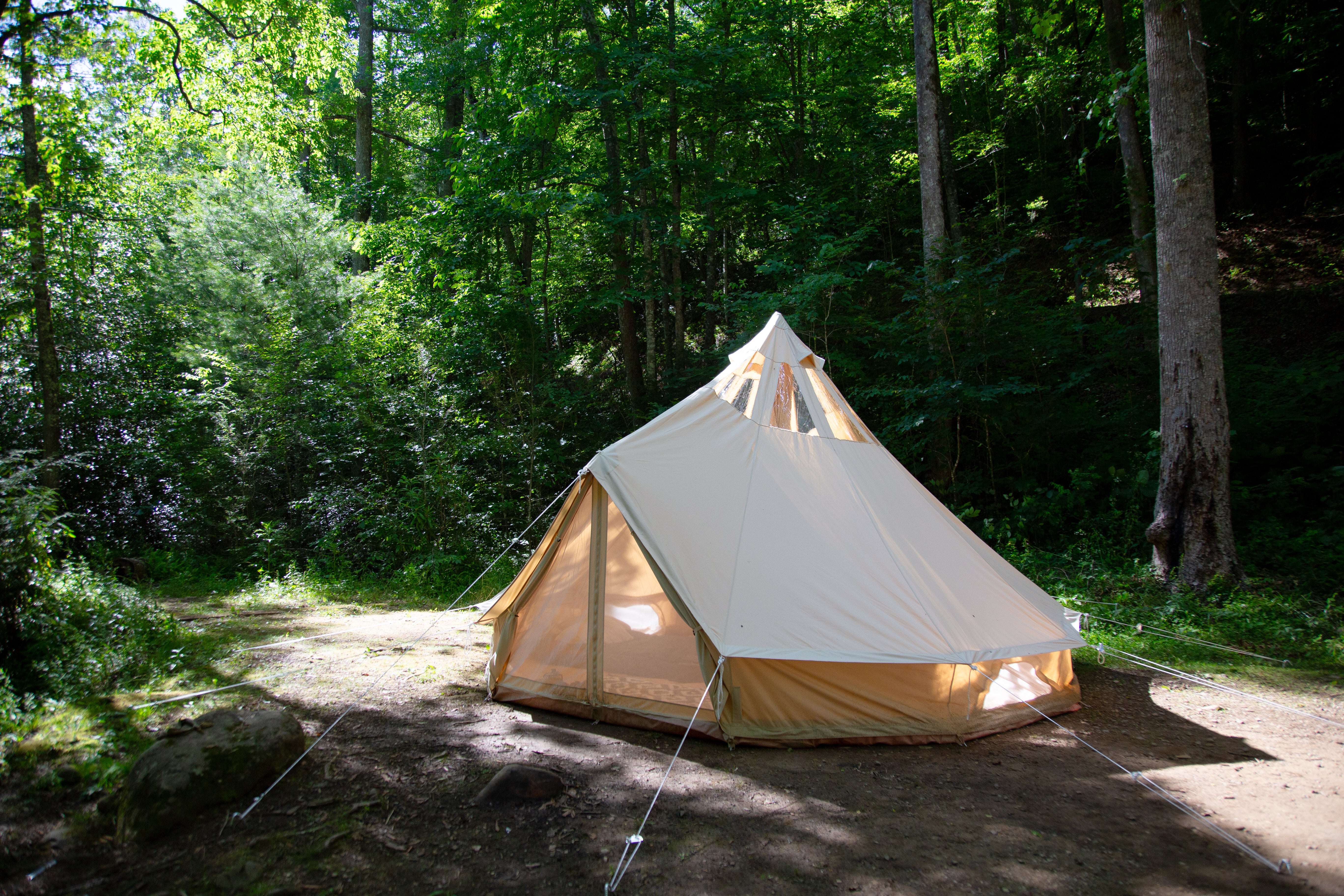 5M - PRO - Stargazer Double-Door