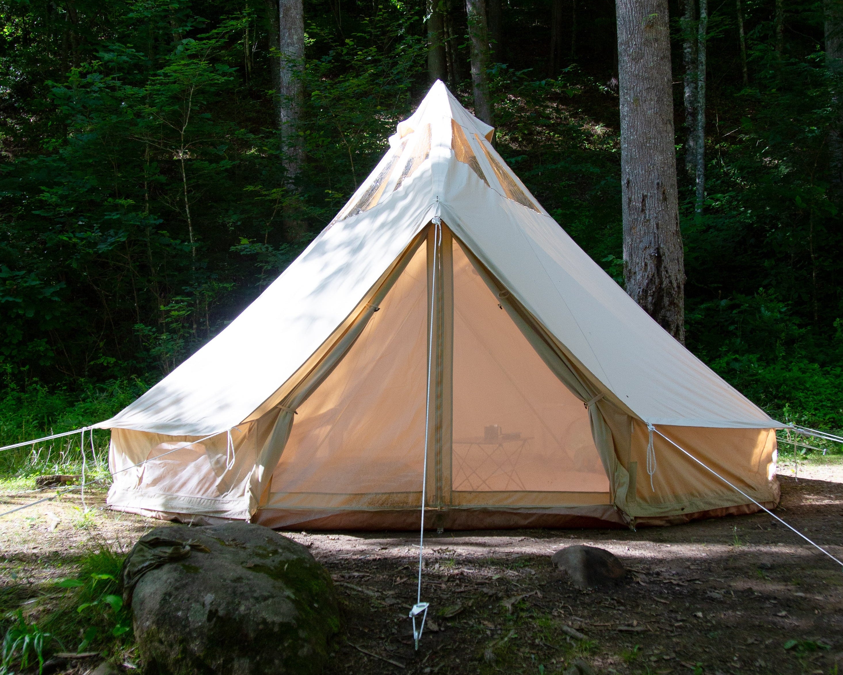 A beige bell tent pitched in a wooded campsite with trees, dirt ground, and dappled sunlight.
