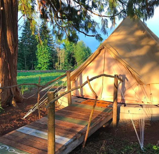 Stout Tent Stories: Domke Farms Glamping Farmstay