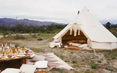 Create a Reading Sanctuary: Your Backyard Escape Guide