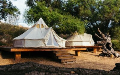 Beyond the Ground: Exploring Platform Tent Camping
