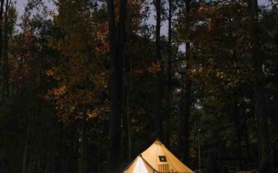 Warmth Without Worry: Top Heaters for Your Tent Adventures