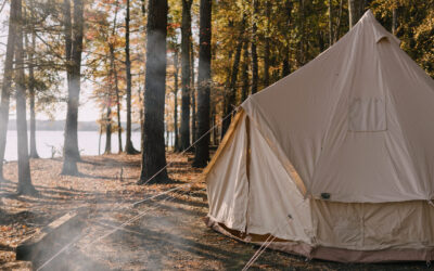 Why Serious Hunters Choose the Stout Sunforger over Wall Tents